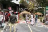 tigerzoo