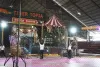 tigerzoo