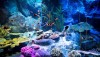 underwaterworld