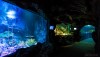 underwaterworld