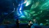 underwaterworld