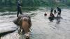 elephant-bathing-erawan