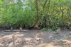 klong-kone