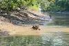 klong-kone
