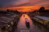 amphawa-firefly