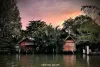 amphawa-firefly