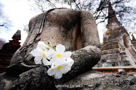 Ayutthaya Experience