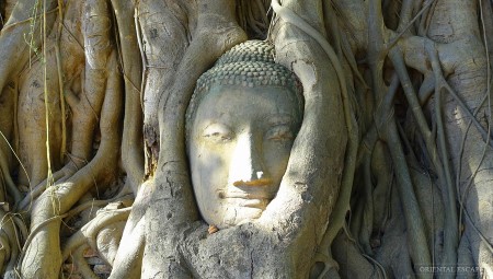 Ayutthaya Experience