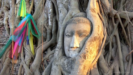 damnoensaduak-ayutthaya