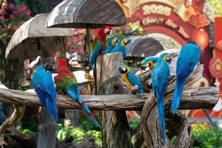 safariworld-tour