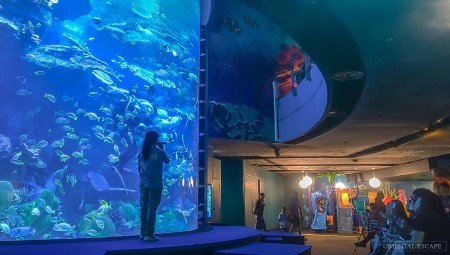 sealifeoceanworld