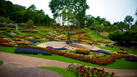 goldentriangle-doitung