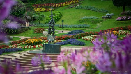 goldentriangle-doitung