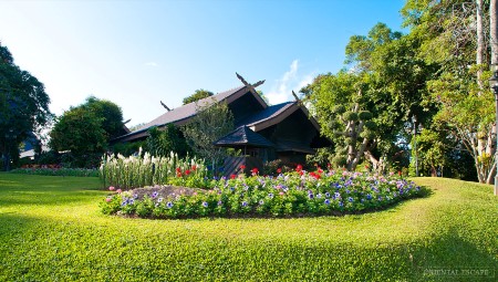 goldentriangle-doitung