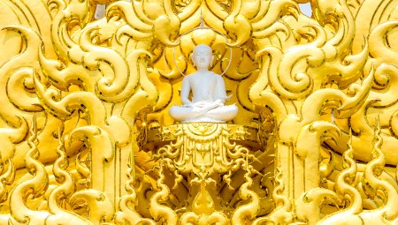 goldentriangle-longneck