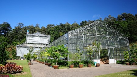 Elephant Care + Orchid Nursery