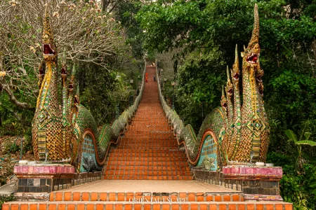 Chiang Rai to Chiang Mai: Golden Triangle & Doi Suthep