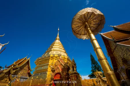 Doi Suthep & Chiang Mai Ancient Temples Tour