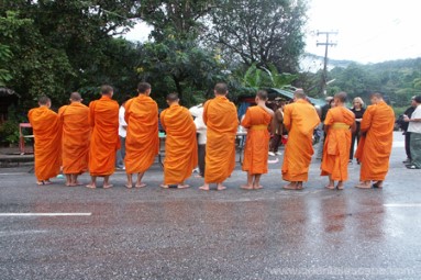 Doi Suthep Temple + Morning Monks Alms Giving