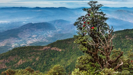 inthanon-trekking-kewmaepan