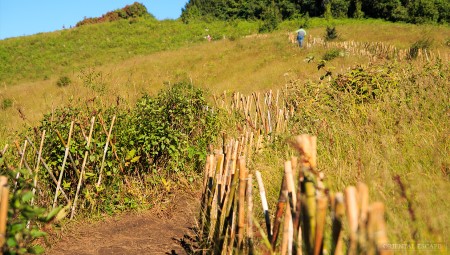 inthanon-trekking-kewmaepan
