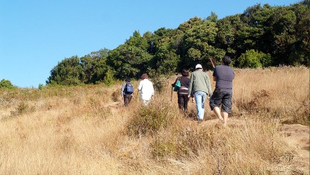 inthanon-trekking-kewmaepan