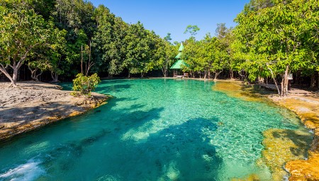 Krabi Jungle Tour