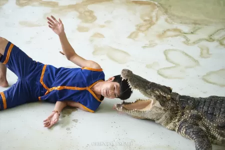 Samphran Elephant Theme Show & Crocodile Farm