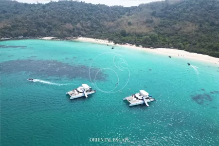 Pattaya Delight