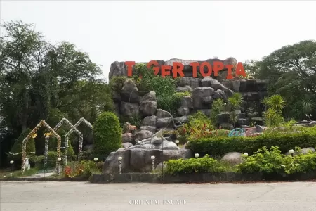 Tiger Topia Zoo Sri Racha + Pattaya