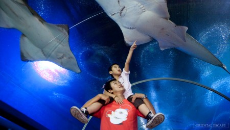 Underwater World