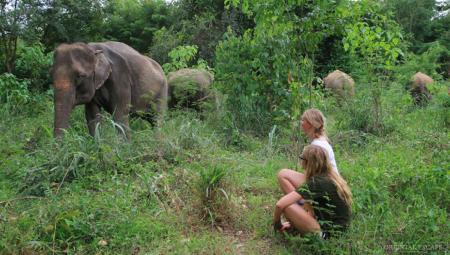 Elephant Haven Kanchanaburi