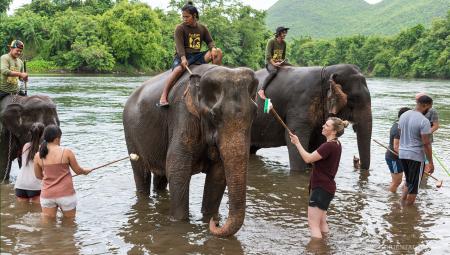 River Kwai + Death Railway + Elephant Bathing