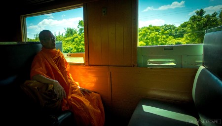 riverkwai-elephant-bathing