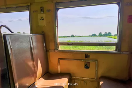 Railway Market with Train Ride